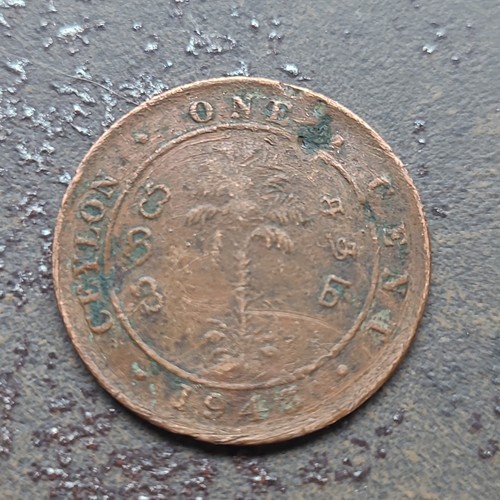 Cent münze aus ceylon - 1-cent-münze,