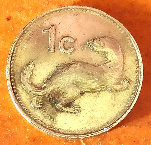 Cent münze malta 1991 - cent,